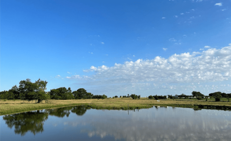 Beautiful 39 Acres with Ponds For Sale in Scenic Southern Hopkins County