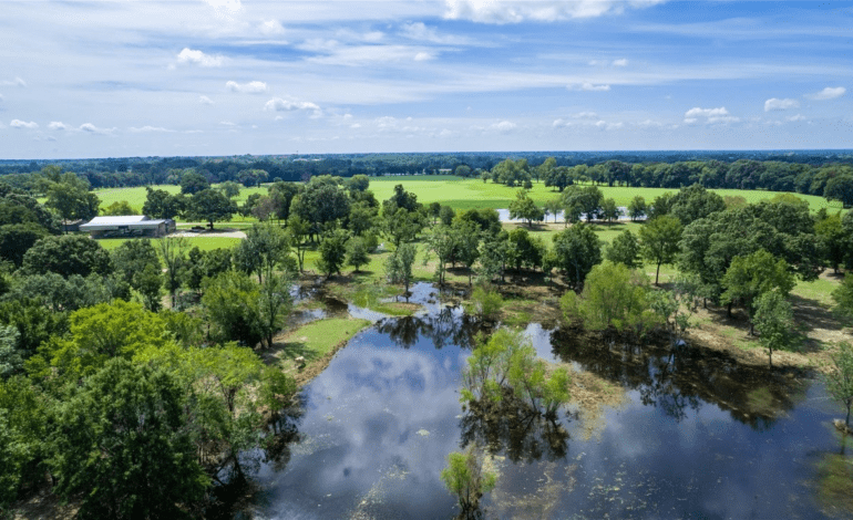 8 Extraordinary Properties from 64 Acres to 290 Acres For the Ultimate Rancher, Homesteader, or Investor