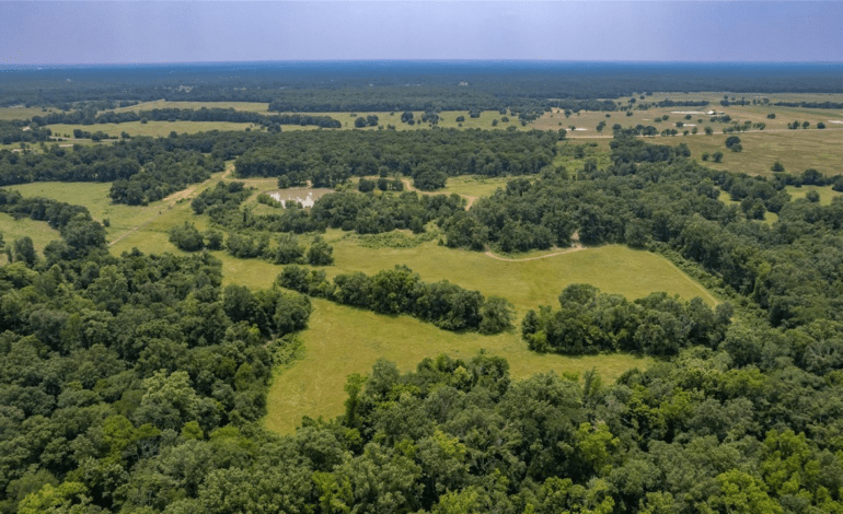 Beautiful 82 Acres Part Wooded, Part Pasture Comes with Workshop & 3 Ponds!