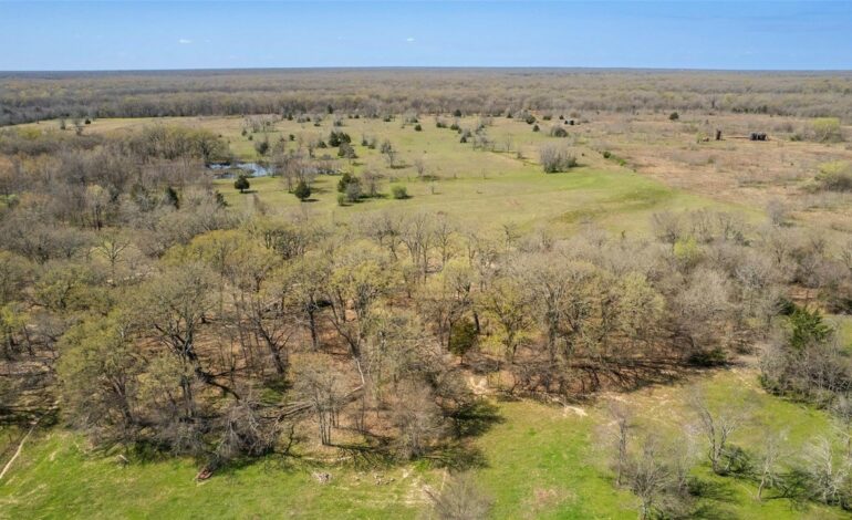 New-to-Market 33 Acres Becomes Available in Sulphur Bluff ISD
