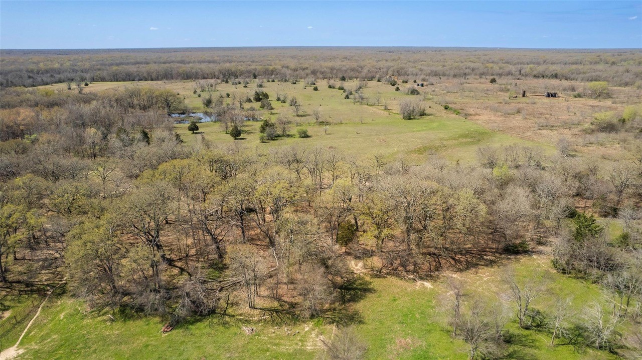 New-to-Market 33 Acres Becomes Available in Sulphur Bluff ISD