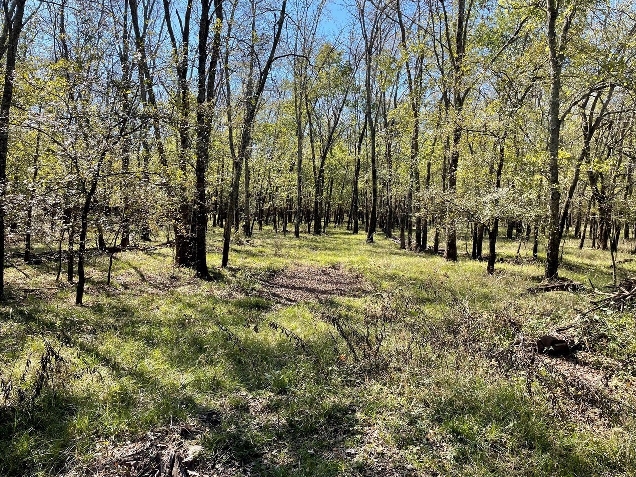 Hunting Enthusiasts Will Appreciate this 100 Acre Wooded Tract that Just Hit the Market