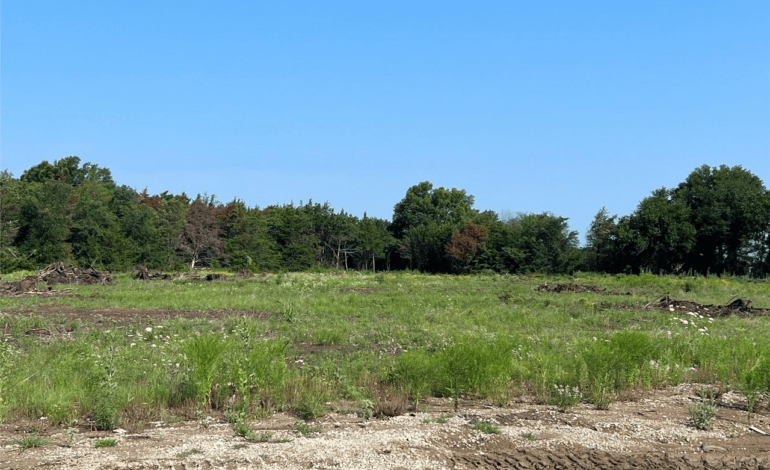Prime Land Inside City Limits of Commerce with Over 7 Acres for Sale