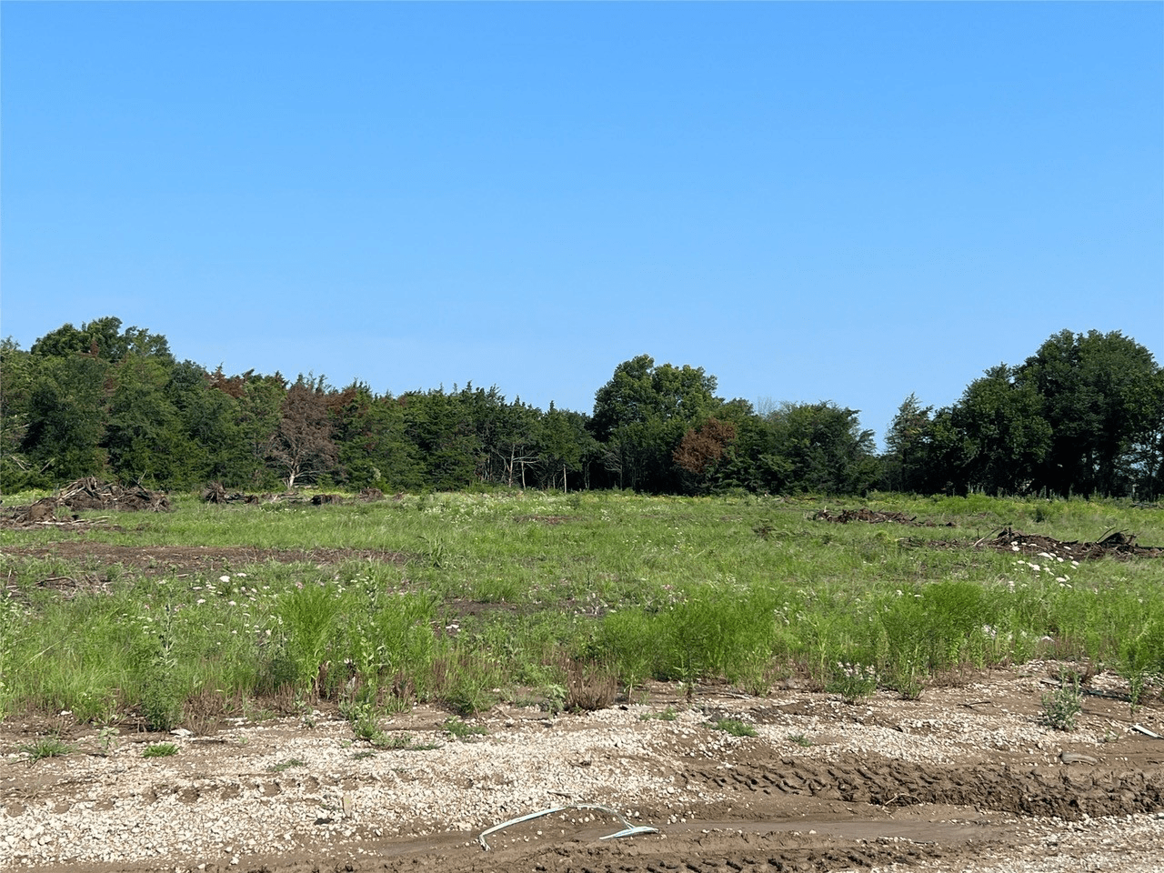 Prime Land Inside City Limits of Commerce with Over 7 Acres for Sale