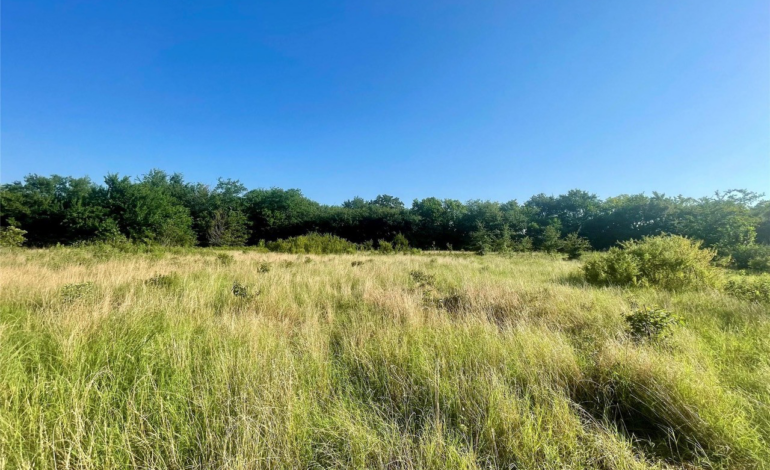 Two 10-Acre Tracts in Southern Hopkins County Are Now For Sale
