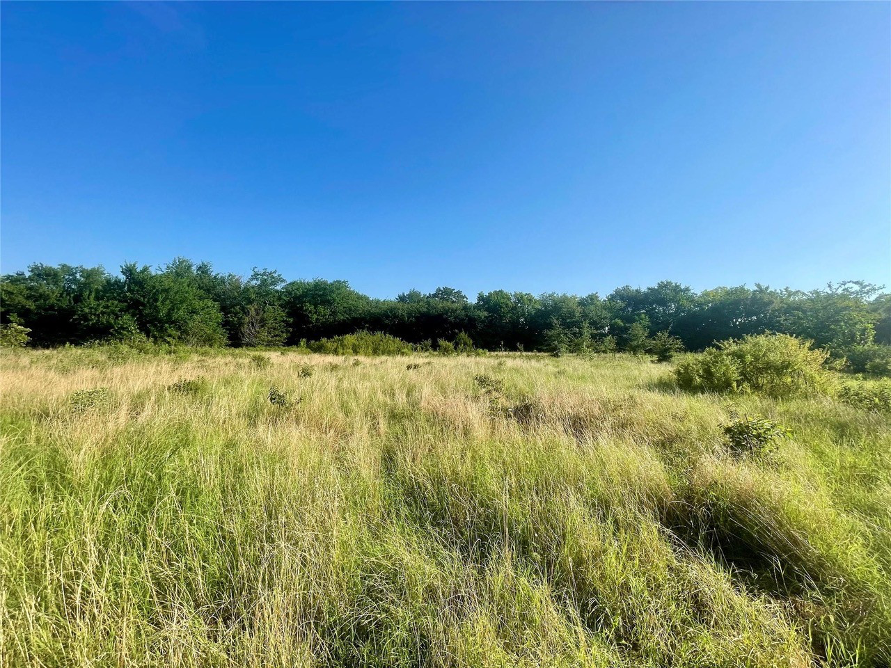 Two 10-Acre Tracts in Southern Hopkins County Are Now For Sale