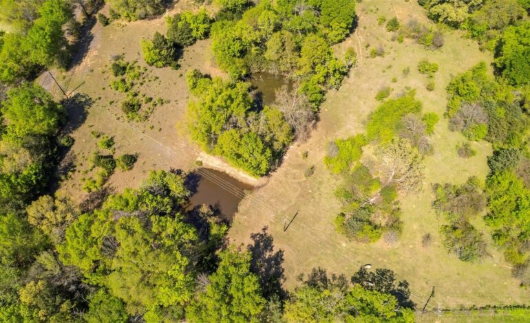 Land Buyers Can Find 81 Scenic Acres Available South of Sulphur Springs, Texas