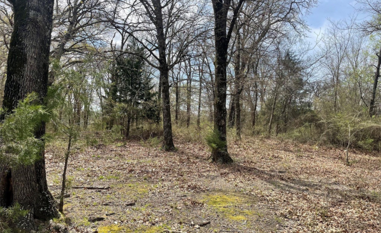 Build a New Home on This Scenic 11 Acres in Van Zandt County