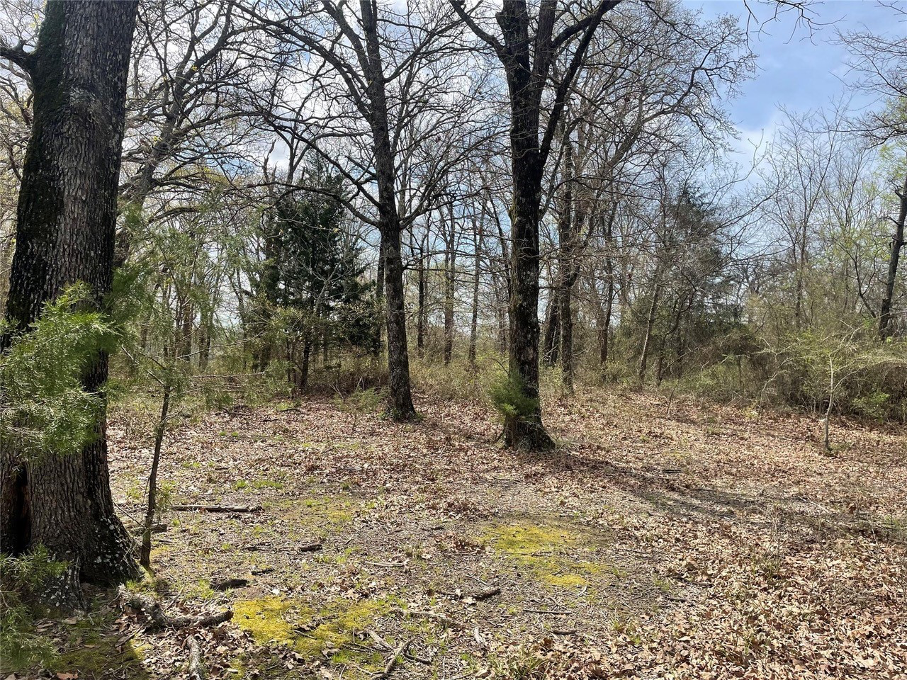 Build a New Home on This Scenic 11 Acres in Van Zandt County