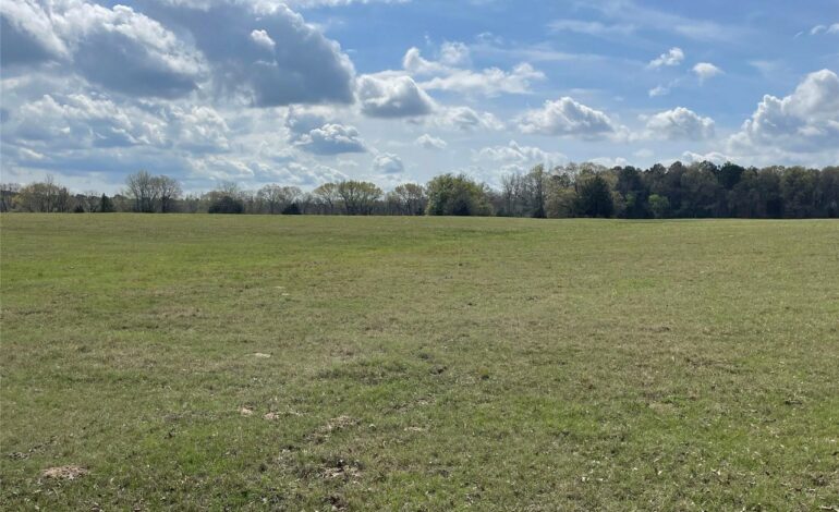 Views of Rolling Hills Found on this 15-Acre Tract For Sale