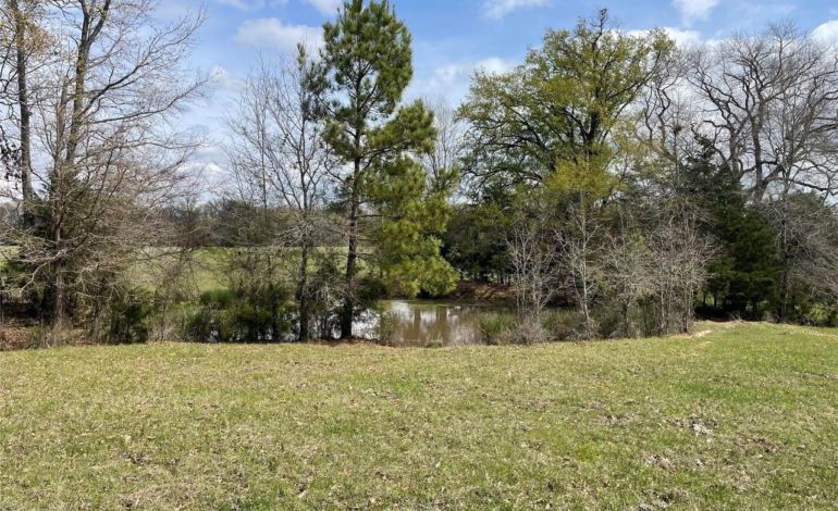 11 Acres Provides Perfect Spot for Dream Home Near Tyler