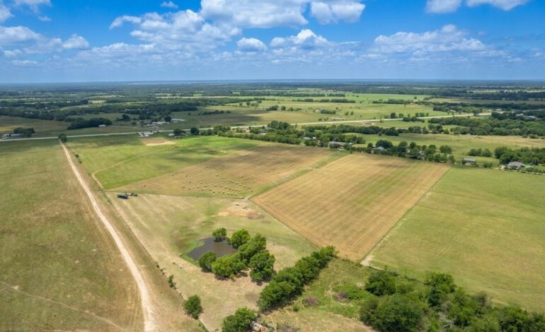 Two Scenic 10-Acre Tracts Available Southeast of Lone Oak, Texas