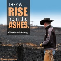 YOUR TEXAS AGRICULTURE MINUTE from Texas Farm Bureau.-Panhandle staggered by wildfires