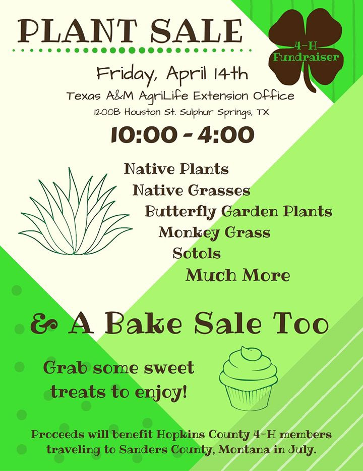 4-H Plant Sale Fundraiser Set for Tomorrow at Agri-Life Extension Office