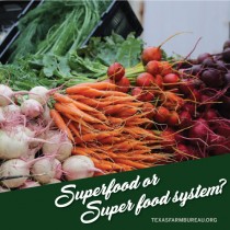 YOUR TEXAS AGRICULTURE MINUTE: Superfoods or super food system? Presented by Texas Farm Bureau