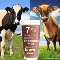 YOUR TEXAS AGRICULTURE MINUTE-Chocolate milk comes from brown cows? Presented by Texas Farm Bureau
