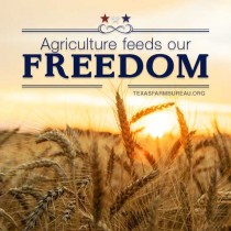 YOUR TEXAS AGRICULTURE MINUTE-Let freedom ring Presented by Texas Farm Bureau
