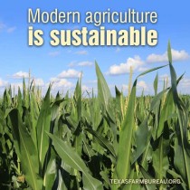 YOUR TEXAS AGRICULTURE MINUTE- Sustainability: More than political correctness Presented by Texas Farm Bureau