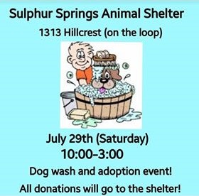 Sulphur Springs Animal Shelter Hosting Dog Wash and Adoption Event Saturday