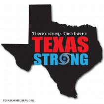 Hurricane Harvey is no match for Texas grit Presented by Texas Farm Bureau-Mike Miesse