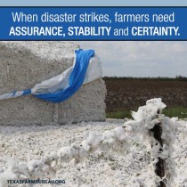 YOUR TEXAS AGRICULTURE MINUTE-Disasters show the importance of a strong safety net Presented by Texas Farm Bureau-Mike Miesse