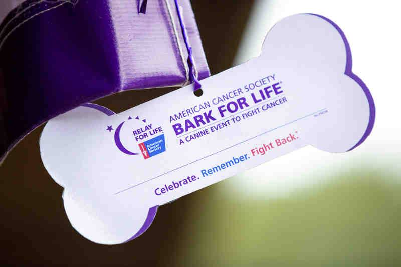 Bark for Life On the Square in Sulphur Springs Saturday 9 AM – 1 PM