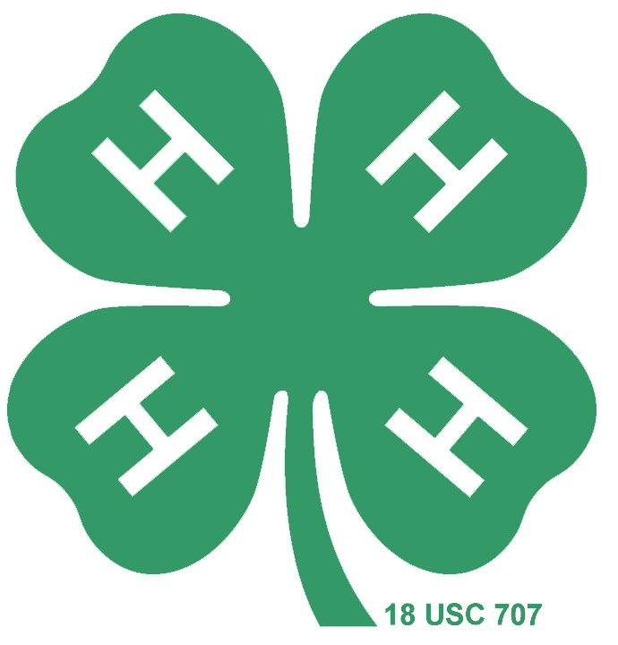 Summer – a Busy Time for Hopkins County 4-H’ers by Johanna Hicks, Family & Community Health Agent