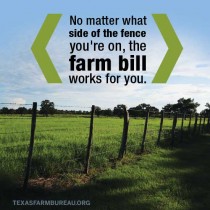 YOUR TEXAS AGRICULTURE MINUTE-Why should you care about the farm bill? Presented by Texas Farm Bureau-Mike Miesse