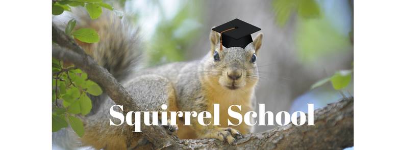  Cooper Lake State Park – Texas Parks and Wildlife Hosting Squirrel School on Saturday December 30th