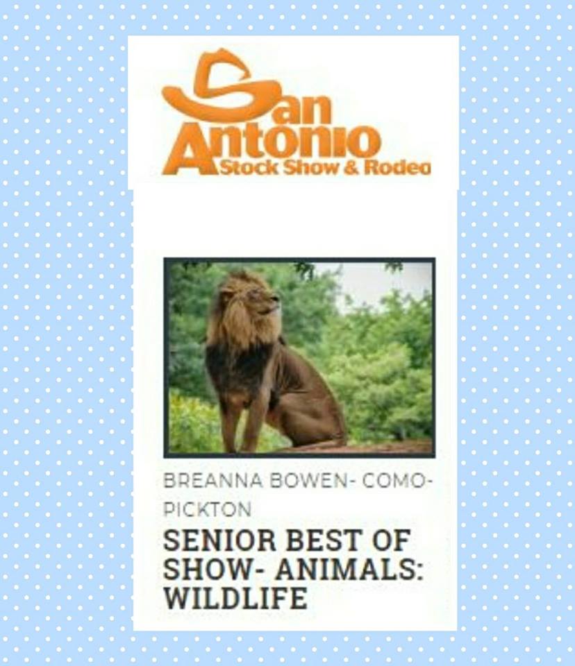 Como-Pickton FFA’s Breanna Bowen’s Photo Named Best Of Show at the San Antonio Stock Show and Rodeo. 