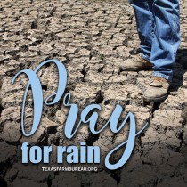 YOUR TEXAS AGRICULTURE MINUTE: Texas drought cause for worry Presented by Texas Farm Bureau’s Mike Miesse