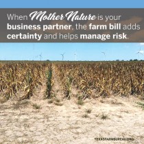 YOUR TEXAS AGRICULTURE MINUTE: Agriculture needs a strong farm bill Presented by Texas Farm Bureau’s Mike Miesse