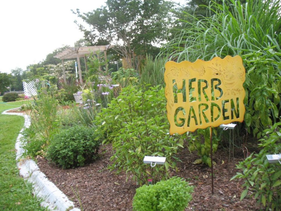 Incorporating Herbs Into Your Landscape By Sharon Burnette – Hopkins County Master Gardener