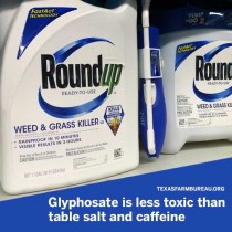 YOUR TEXAS AGRICULTURE MINUTE: California jury wrong on glyphosate Presented by Texas Farm Bureau’s Mike Miesse