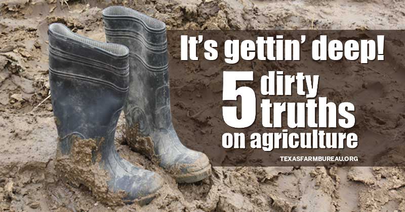 5 Dirty Truths on Agriculture from Texas Farm Bureau