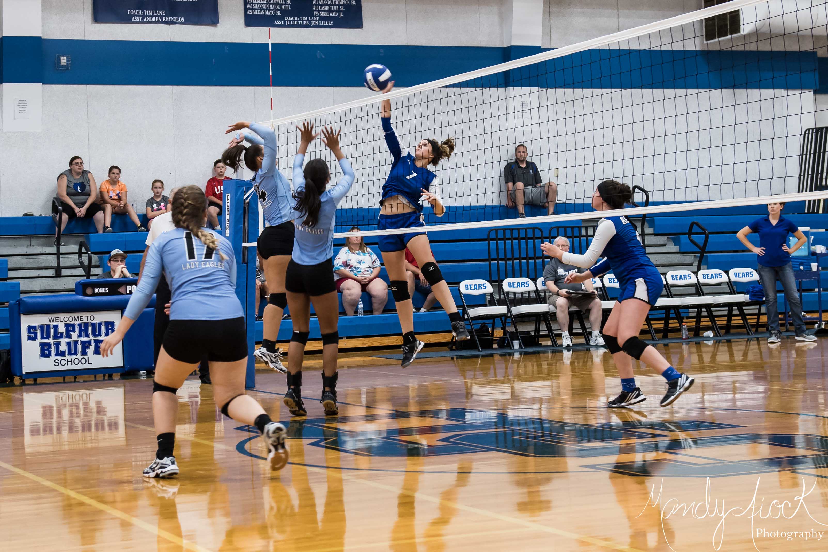 Photos of Como-Pickton Volleyball vs. Sulphur Bluff Volleyball by Mandy Fiock Photography!