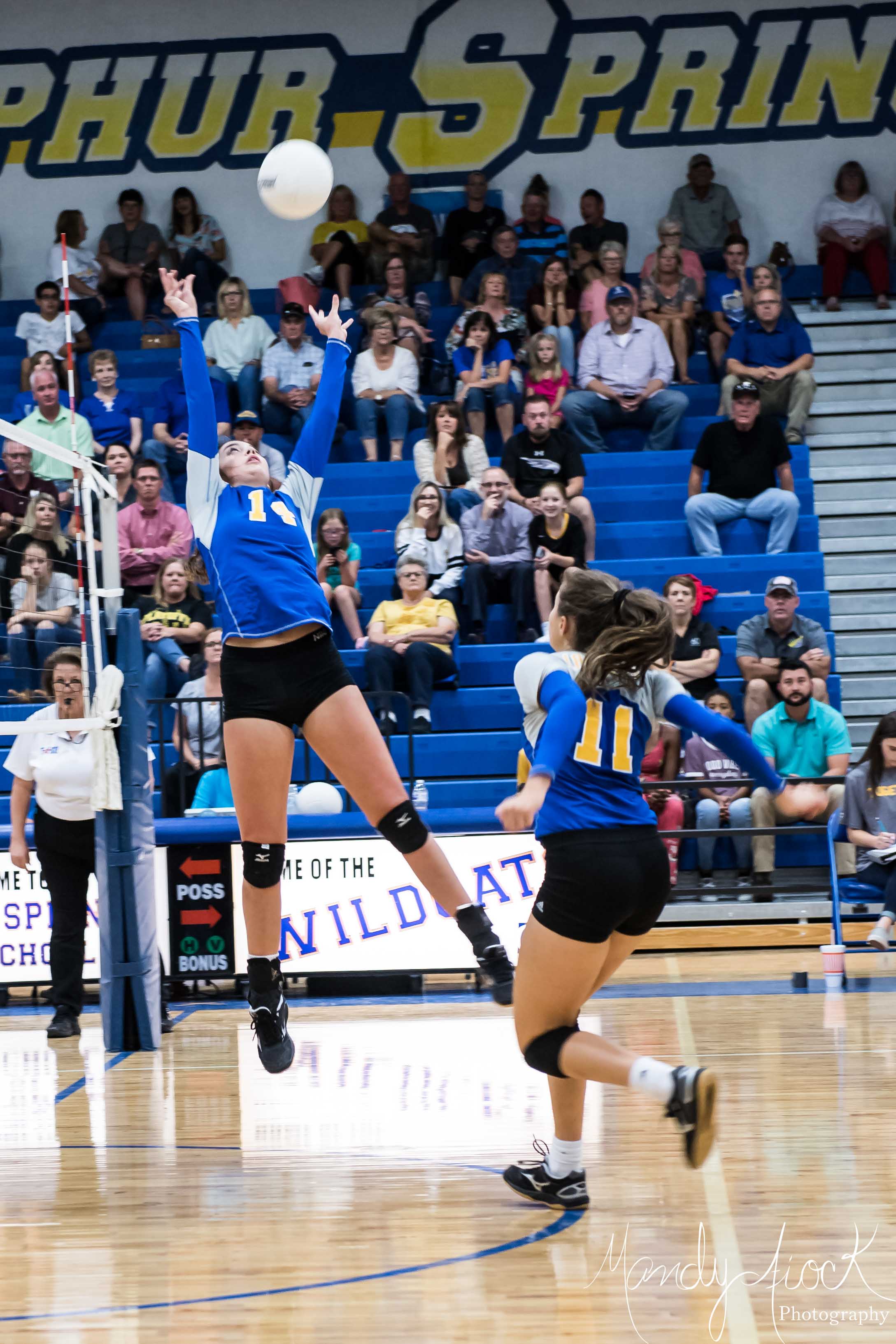Photos of the JV and Varsity Sulphur Springs Volleyball teams by Mandy Fiock Photography!