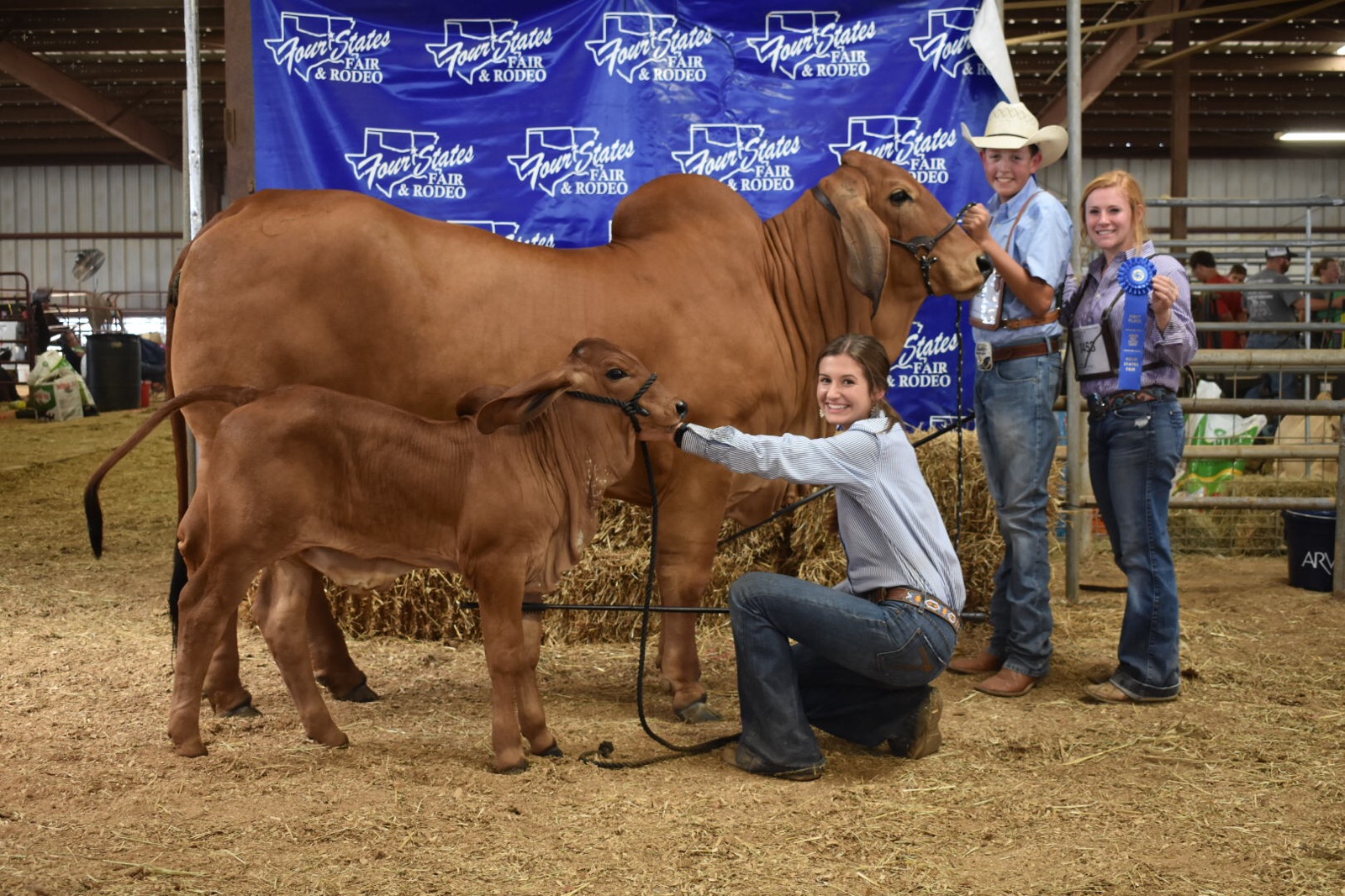 Sulphur Springs FFA’s Cash Vititow and his heifer CC bring home Grand Champion Red Brahman at the 4 States Fair Livestock Show!
