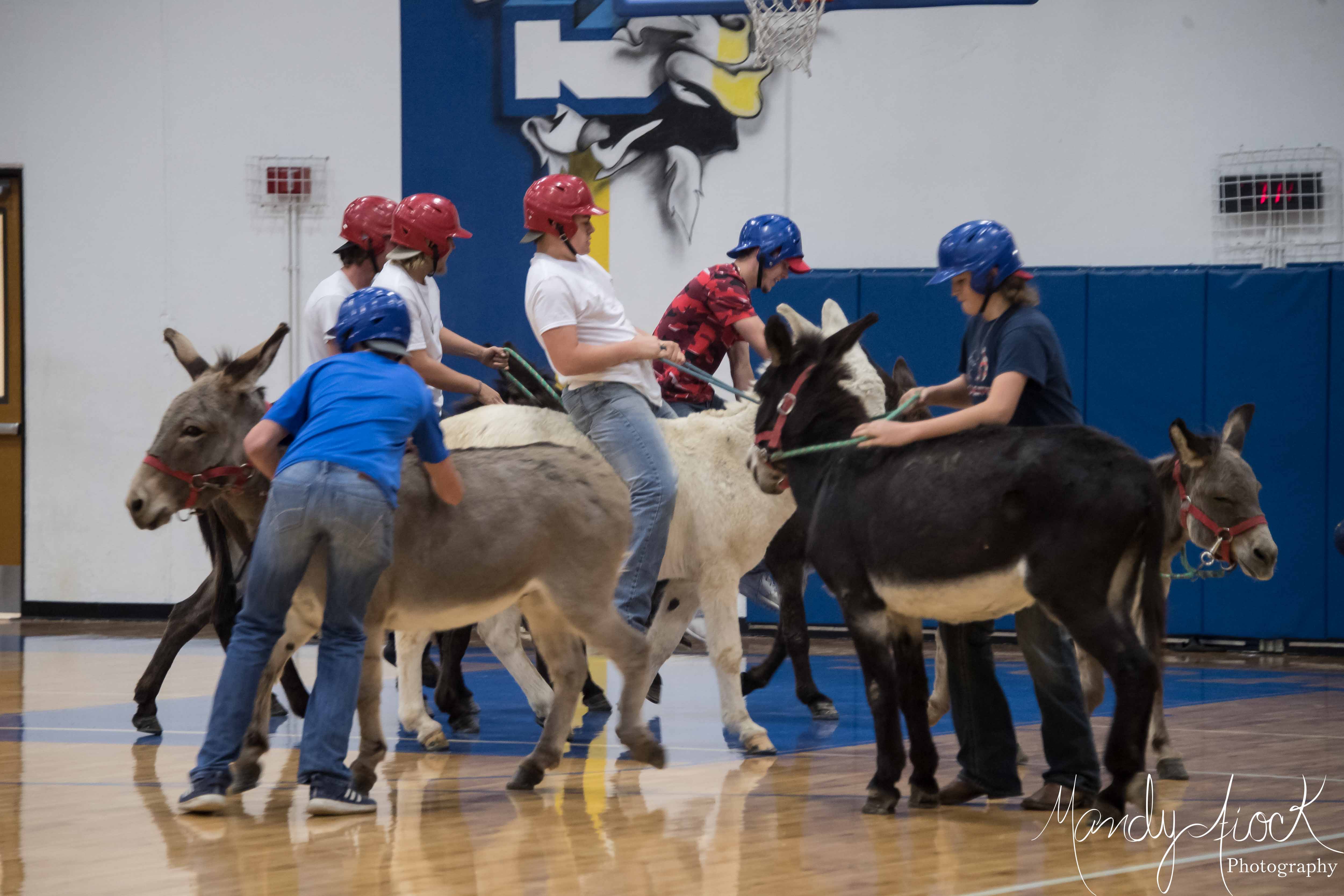 Photos from the Hopkins County Fall Festival Dairyland Donkey Basketball Games and Cover Girl Presentation by Mandy Fiock Photography