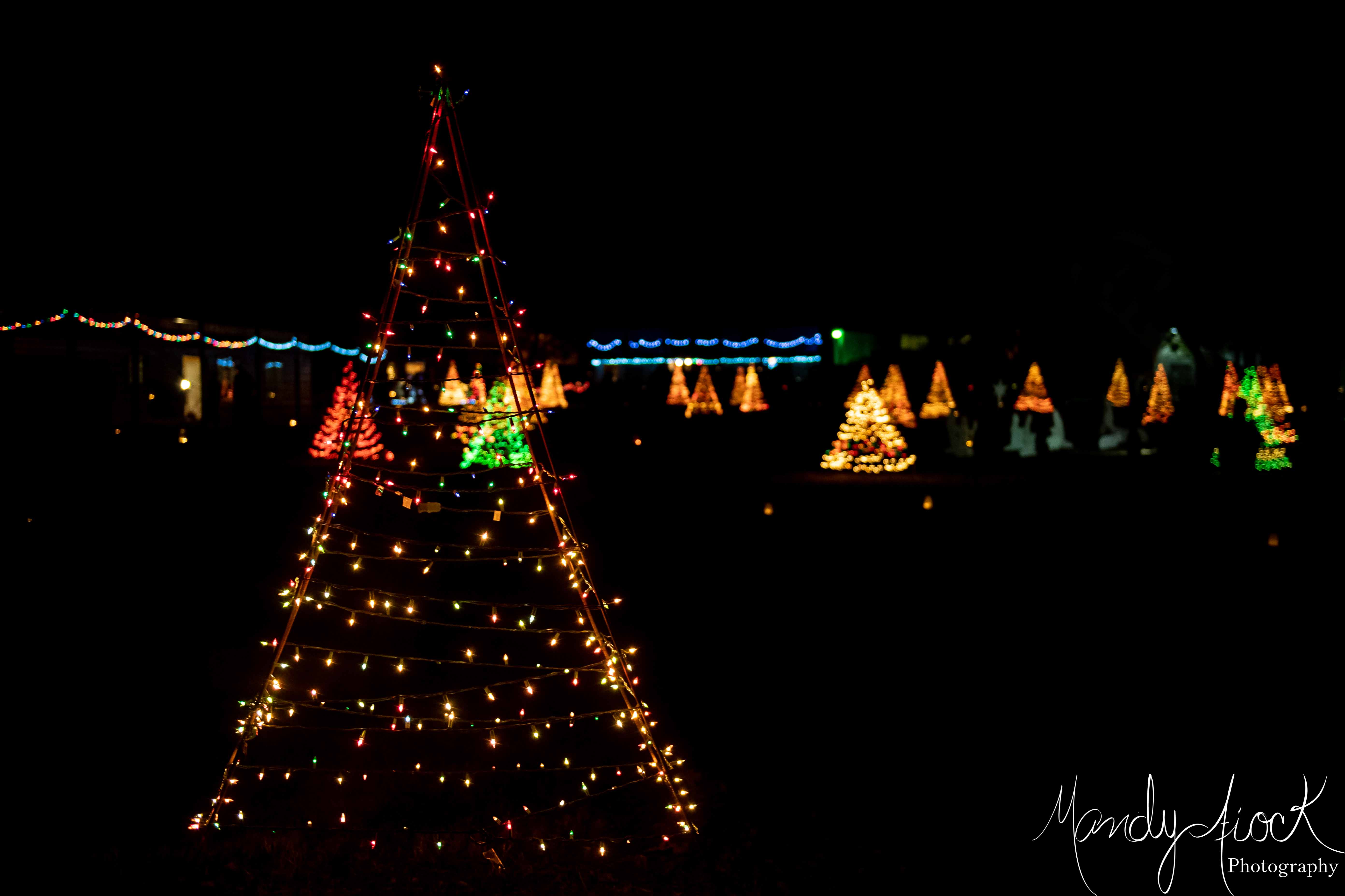 Photos from Christmas in the Park at Heritage Park by Mandy Fiock Photography