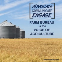 YOUR TEXAS AGRICULTURE MINUTE: Farm Bureau celebrates 100th year Presented by Texas Farm Bureau’s Mike Miesse