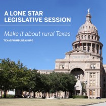 YOUR TEXAS AGRICULTURE MINUTE: Farmers, ranchers focus on Texas Legislature Presented by Texas Farm Bureau’s Mike Miesse