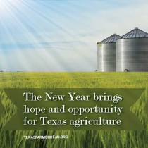 YOUR TEXAS AGRICULTURE MINUTE: New Year brings hope, opportunity Presented by Texas Farm Bureau’s Mike Miesse