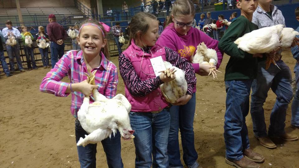 2019 Hopkins County Junior Market Livestock Show Starts February 21, 2019 by Mario Villarino