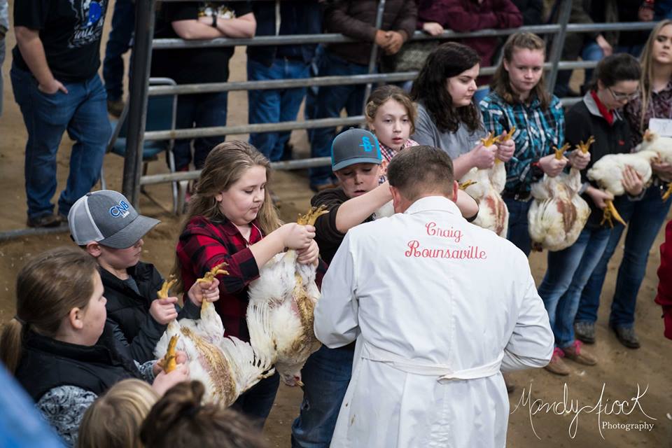 343 Animals Validated for 2019 Hopkins County Junior Market Livestock Show