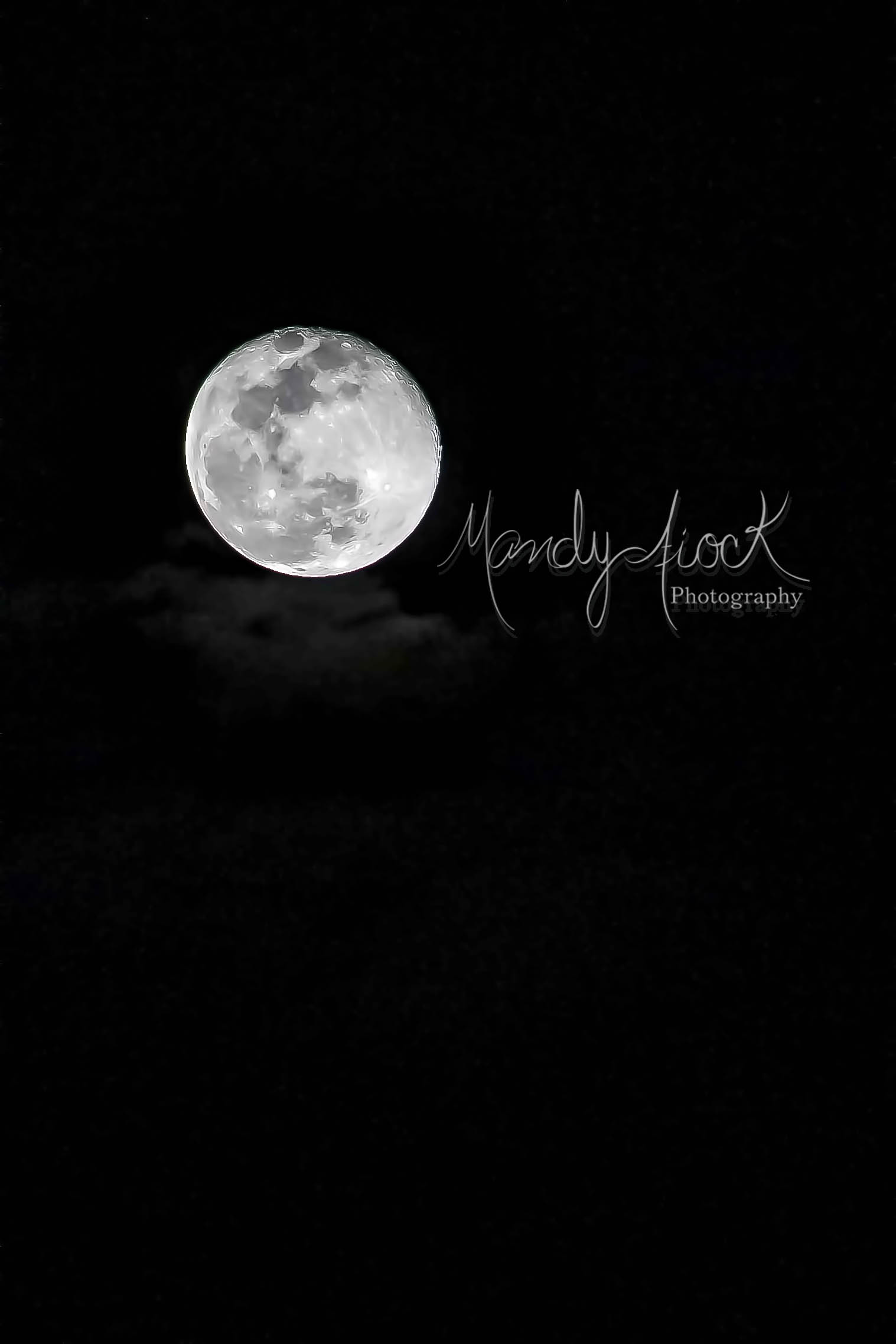 Photo of the Super Snow Moon by Mandy Fiock Photography!
