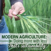 YOUR TEXAS AGRICULTURE MINUTE: Sustainability: Modern agriculture gets it Presented by Texas Farm Bureau’s Mike Miesse