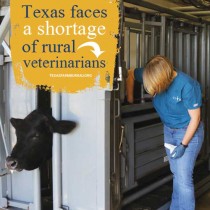 YOUR TEXAS AGRICULTURE MINUTE: Texas needs another veterinary school Presented by Texas Farm Bureau’s Mike Miesse