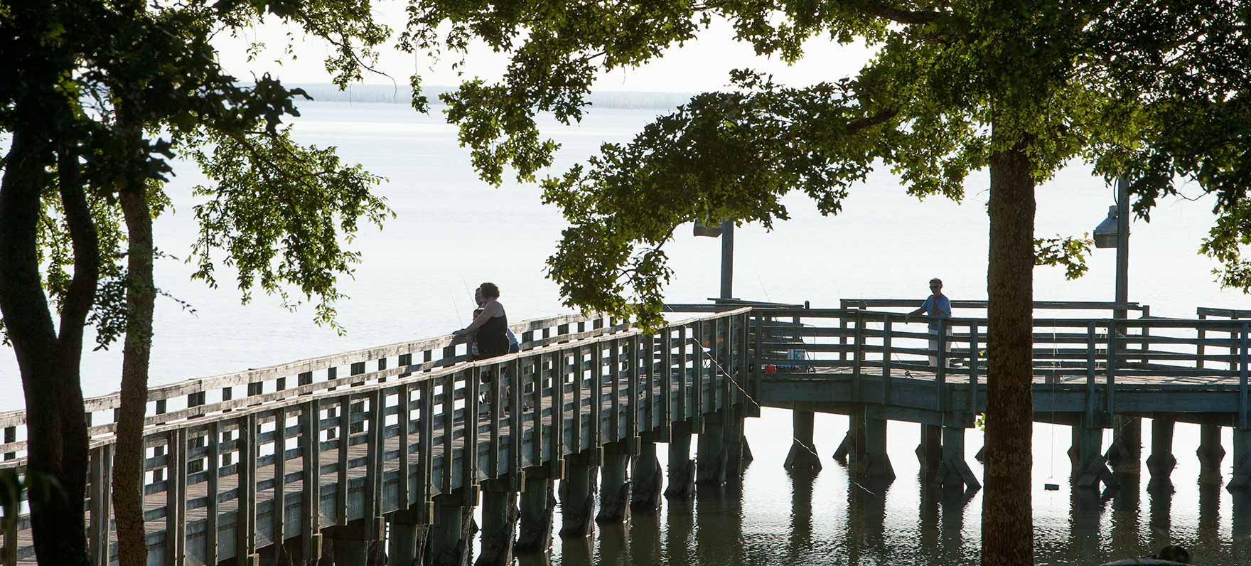 Experience Spring at Cooper Lake State Park