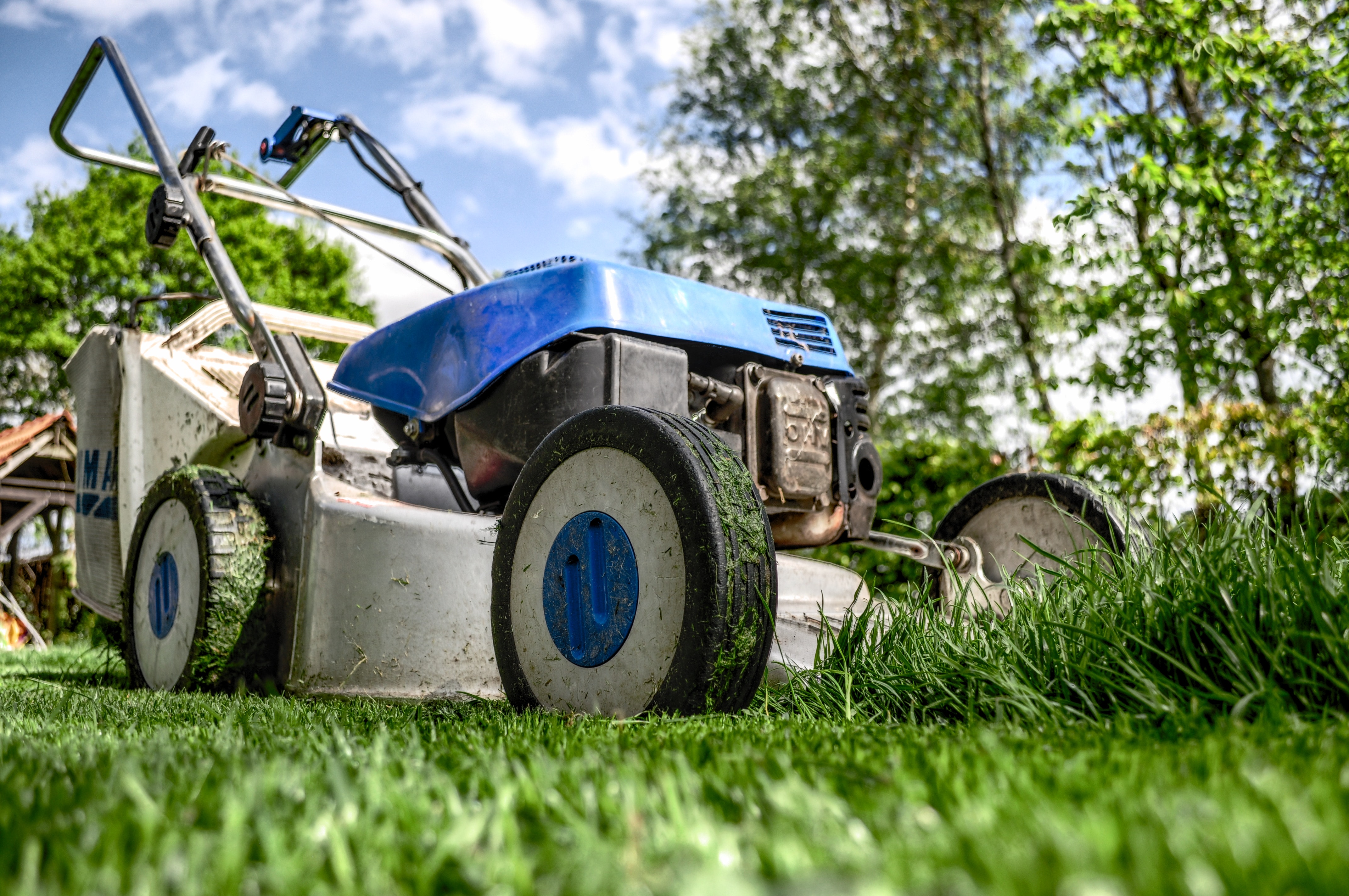 Making Safety a Regular Part of Lawn Maintenance by Mario Villarino